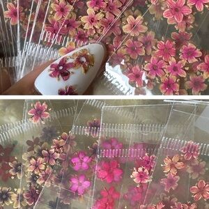 240 Dried Flowers for nails